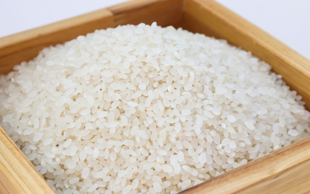 Activités Montessori avec du riz