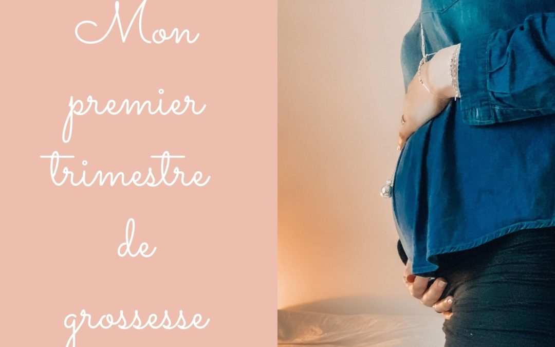 Mon premier trimestre de grossesse (3e grossesse)