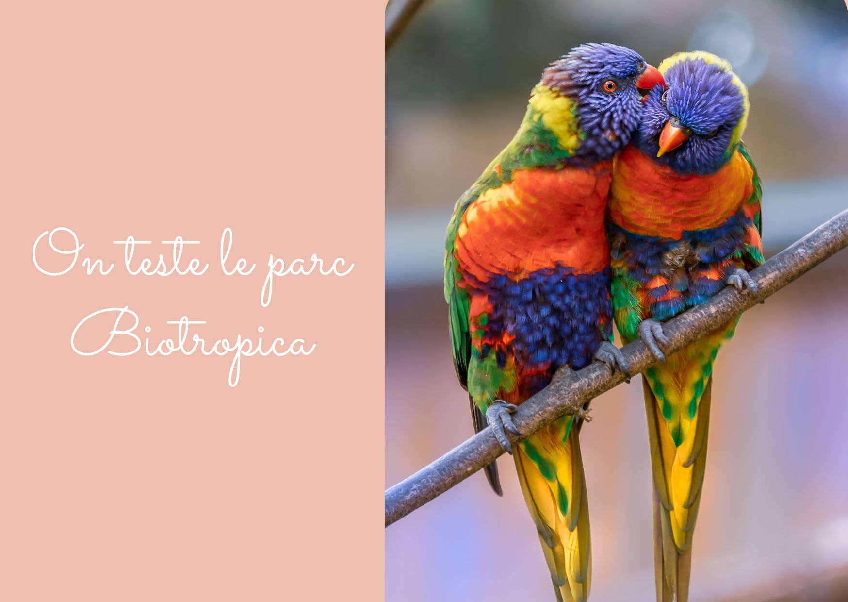On va au parc Biotropica 🐒